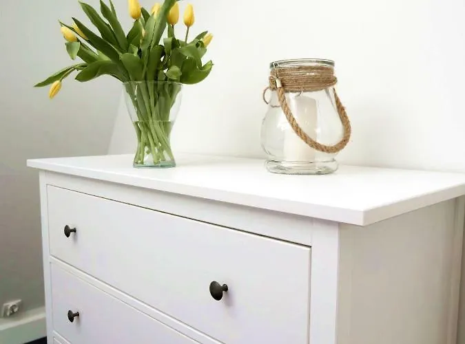 Apartament Bialy Zagiel Rowy (Pomerania)